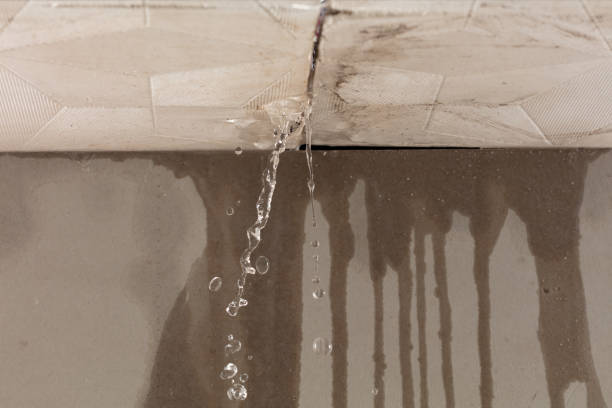 Professional Burst Pipe Cleanup technician working in Libertyville, IL